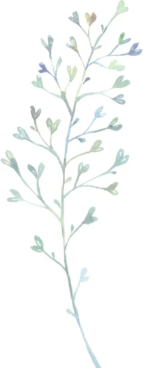 水彩手绘花卉花朵植物枝叶草本矢量素材纹理