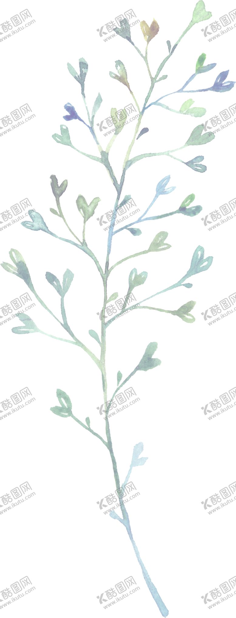 编号：97528805142223483711【酷图网】源文件下载-水彩手绘花卉花朵植物