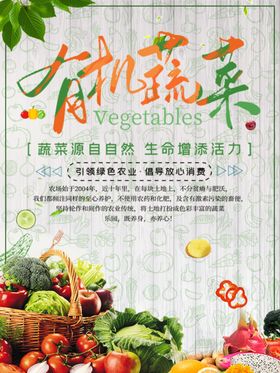有机蔬菜-04