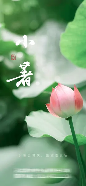 小暑微信海报大单图海报大地产海报