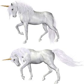 白色毛发骏马