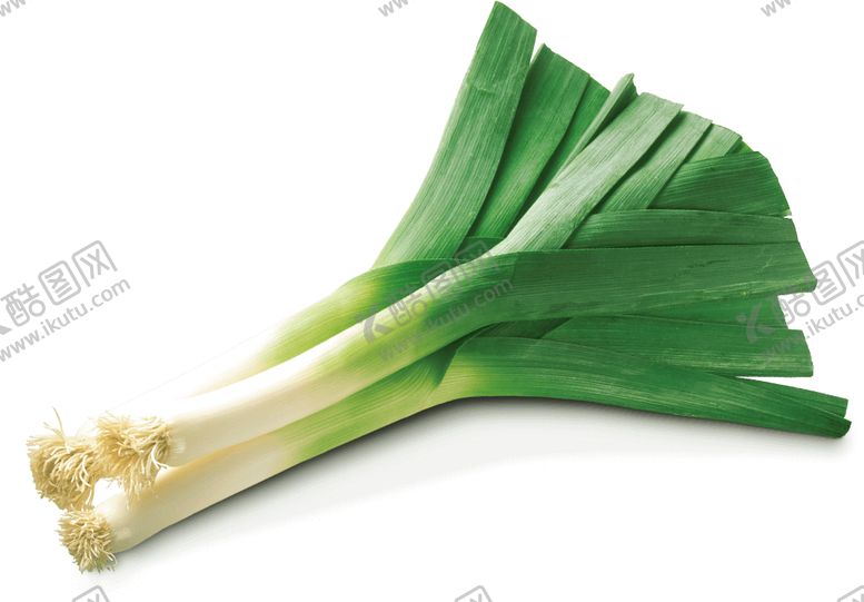 编号：41427210102220002932【酷图网】源文件下载-大葱