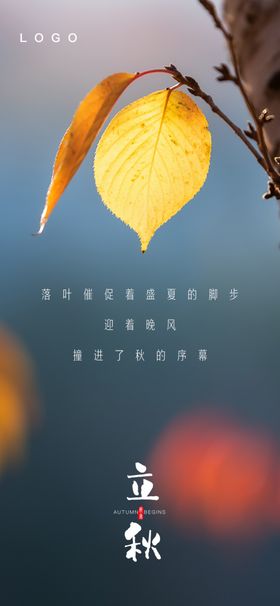 立秋