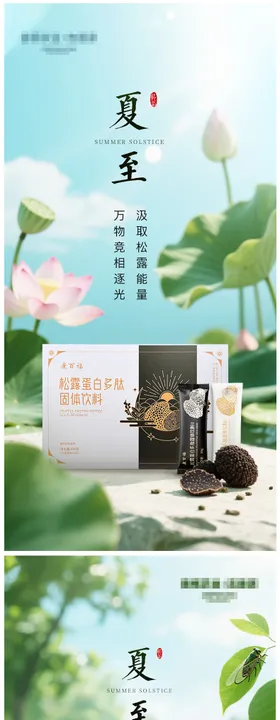 夏至系列海报