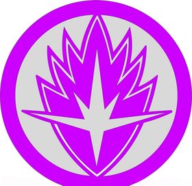 标志三维星形态