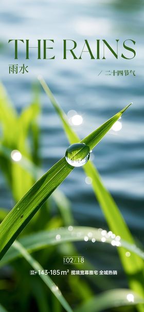 雨水海报二十四节气滴春天