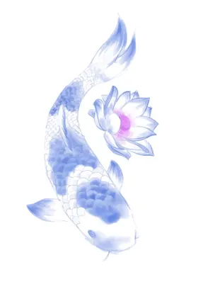 金鱼锦鲤手绘插画图片素材观赏希望海洋生物