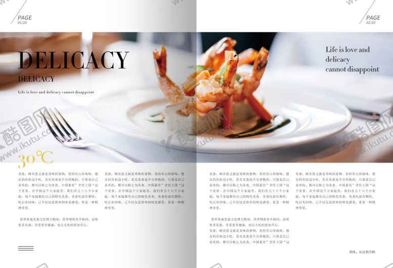 编号：10200905111331108048【酷图网】源文件下载-美食画册
