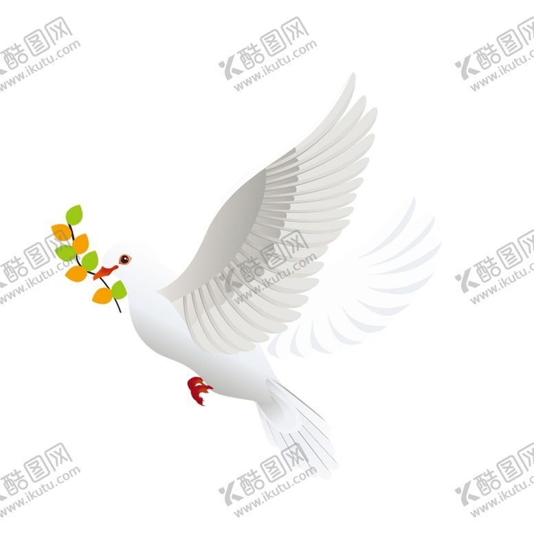 编号：12765009172307340412【酷图网】源文件下载-白鸽