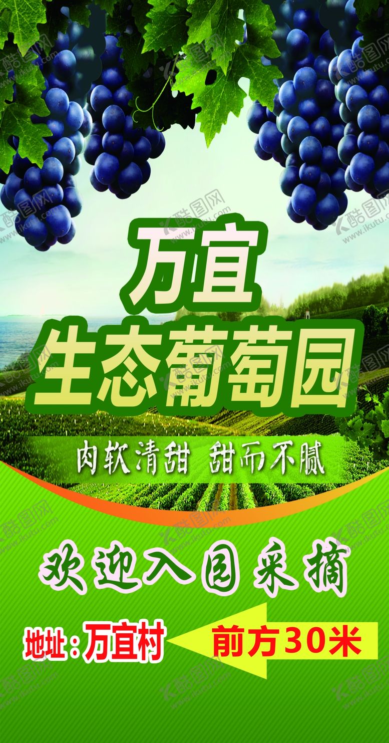 编号：20149306171216097868【酷图网】源文件下载-葡萄绿色