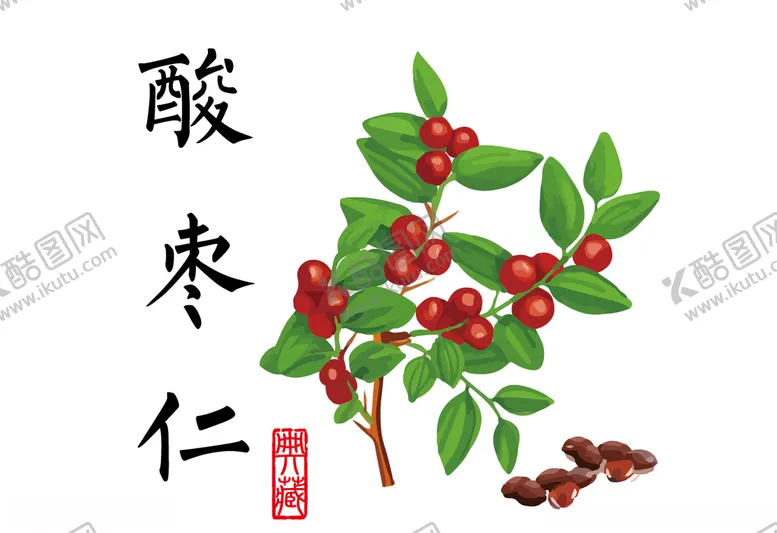 编号：30736604140142327537【酷图网】源文件下载-酸枣仁插画