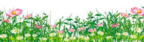 创意花