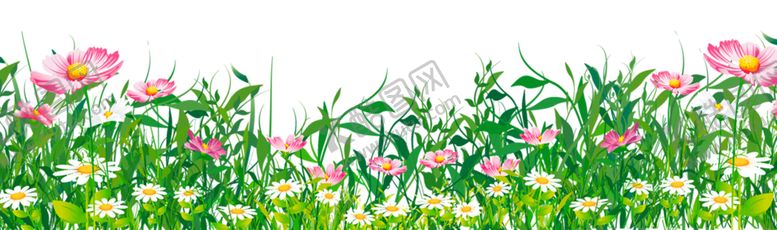 编号：66494006290456417010【酷图网】源文件下载-创意花