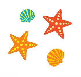 海星贝壳