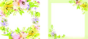 清新花卉边框背景图