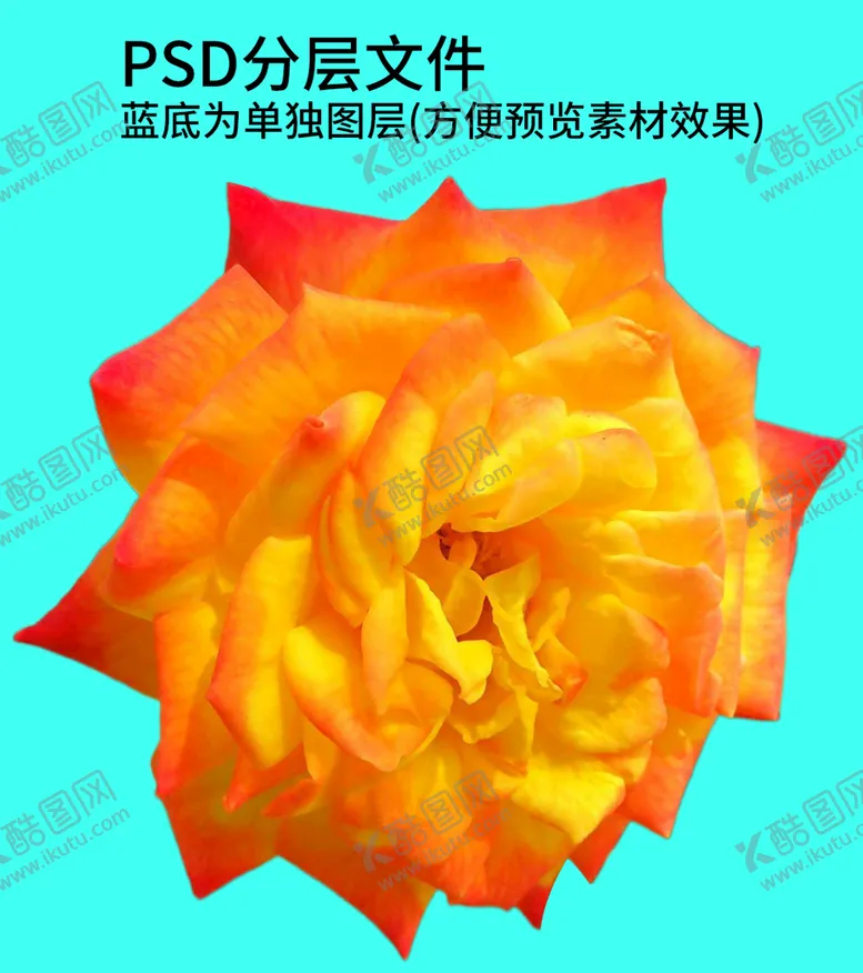 编号：95407309131842154392【酷图网】源文件下载-鲜花花朵png免扣素材节日花花篮