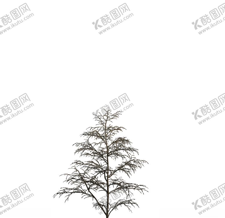 编号：24569410071914527481【酷图网】源文件下载-树木