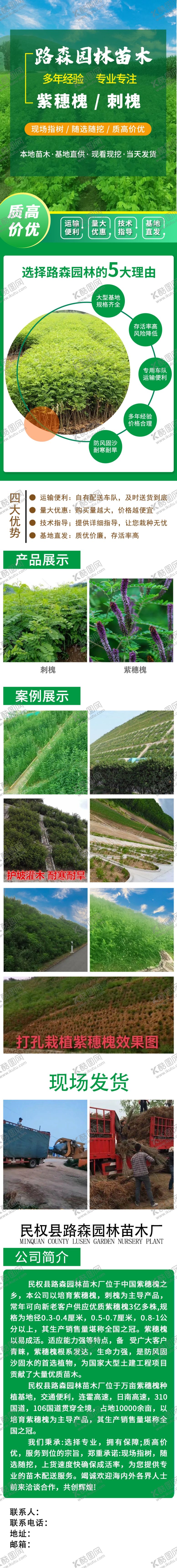 编号：25020612050352235252【酷图网】源文件下载-园林苗木落地页