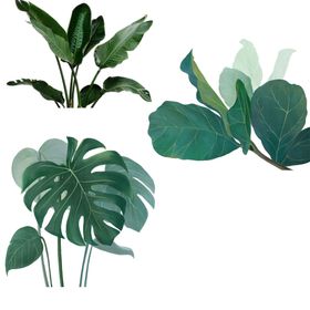 绿植素材