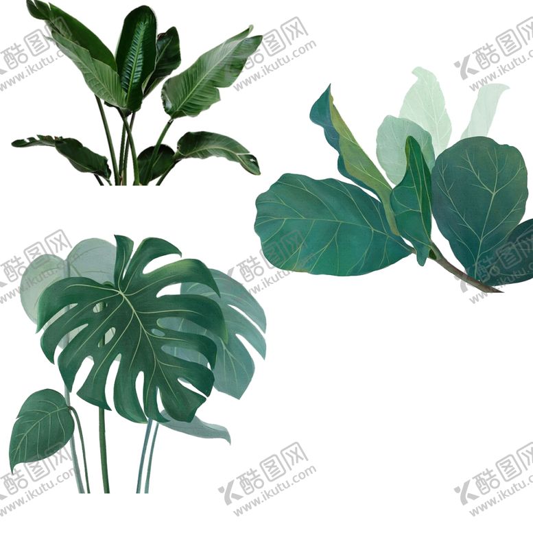 编号：72907509231355509721【酷图网】源文件下载-绿植素材