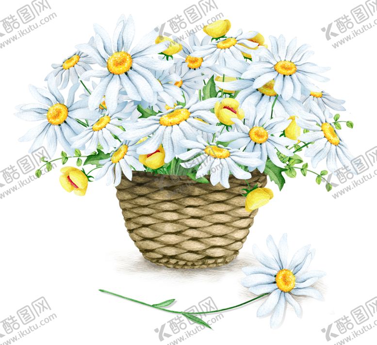 编号：40463805171714516285【酷图网】源文件下载-水彩植物