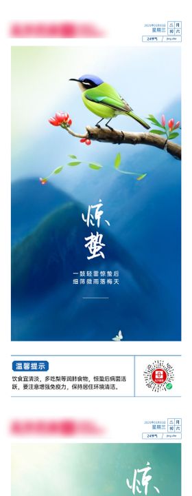 惊蛰节气海报春天鸟二十四房地产