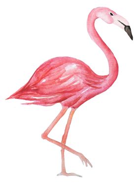 清新水彩植物花朵插画