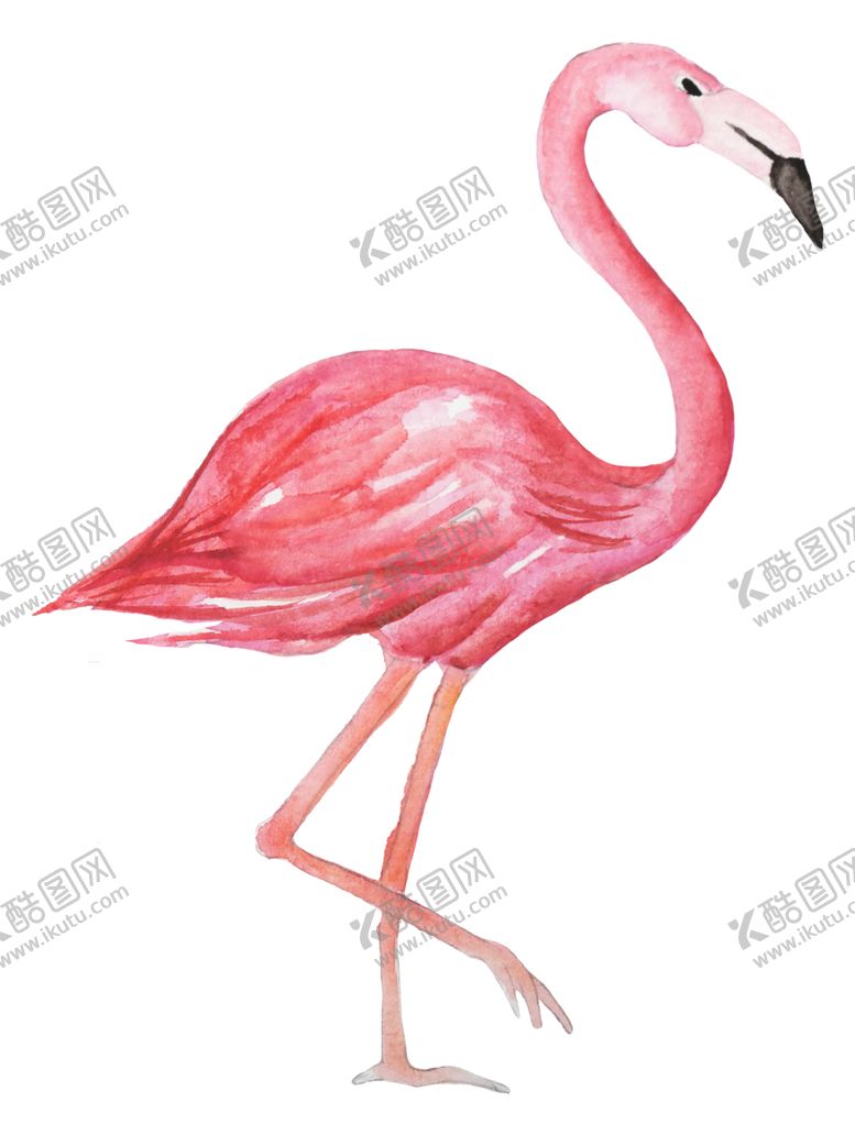 编号：32581610021358508223【酷图网】源文件下载-清新水彩植物花朵插画