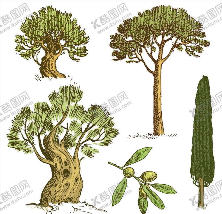 编号：16240509300700275770【酷图网】源文件下载-树木