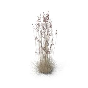 花草绿植婚礼艺植物效果图