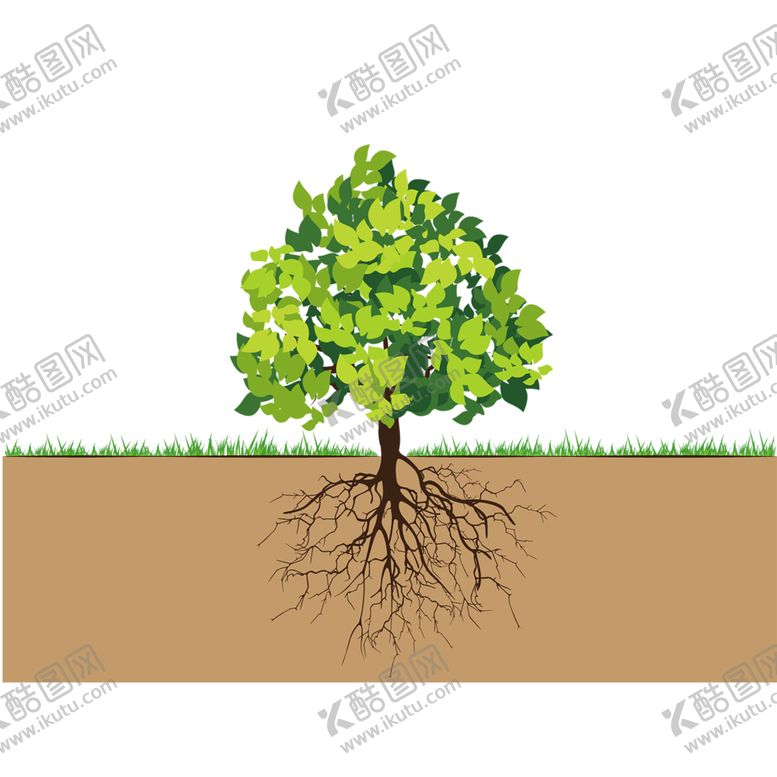 编号：27428909261058072494【酷图网】源文件下载-植物