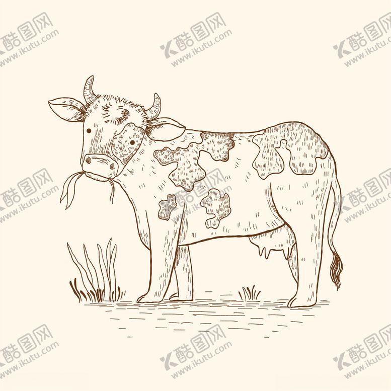 编号：19824401270339173519【酷图网】源文件下载-奶牛矢量插画