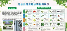 污水再利用