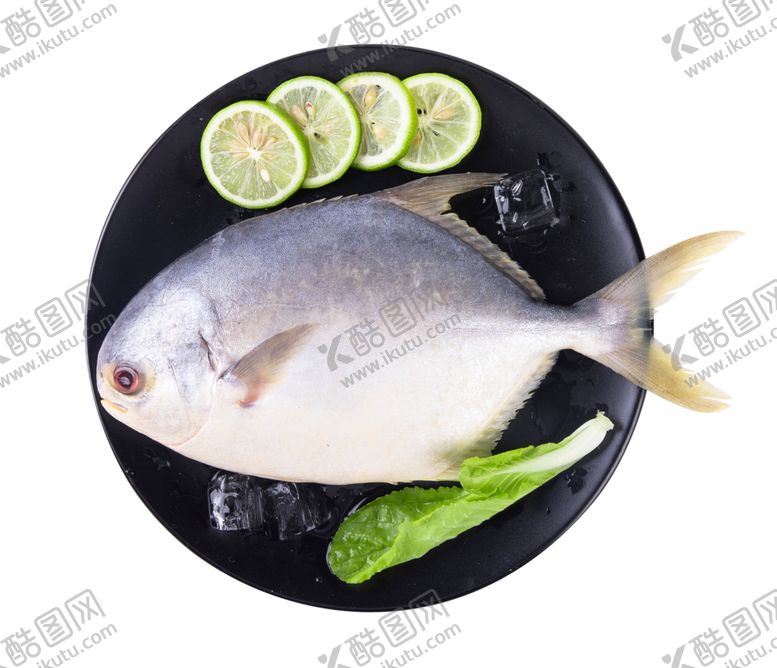 编号：49473709192126534737【酷图网】源文件下载-鲳鱼