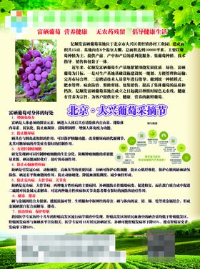 葡萄宣传单