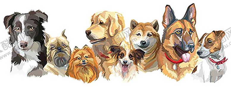 编号：28451309282311105904【酷图网】源文件下载-萌宠设计狗狗