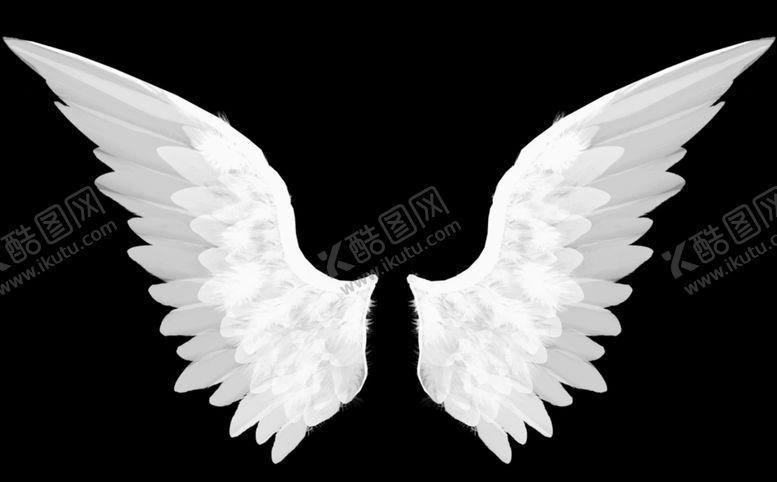 编号：36813809142204425187【酷图网】源文件下载-翅膀