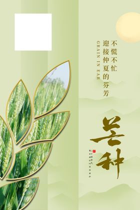 芒种夏天素材24节气