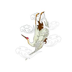 插画飞鹤菊花重阳节