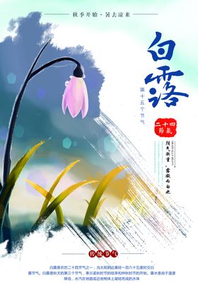 白露