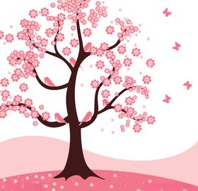 樱花