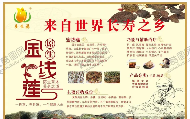 编号：24568005091648454286【酷图网】源文件下载-金线莲海报