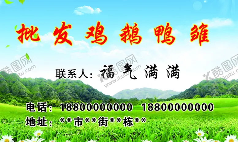 编号：73215203010143044742【酷图网】源文件下载-鸡鸭鹅雏名片