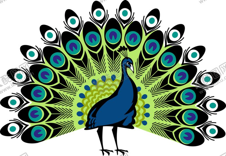 编号：38975309280810212538【酷图网】源文件下载-孔雀PNG