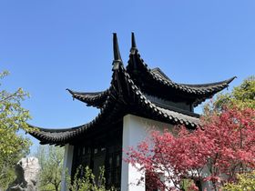 扬州 建筑 蓝天  树  旅游