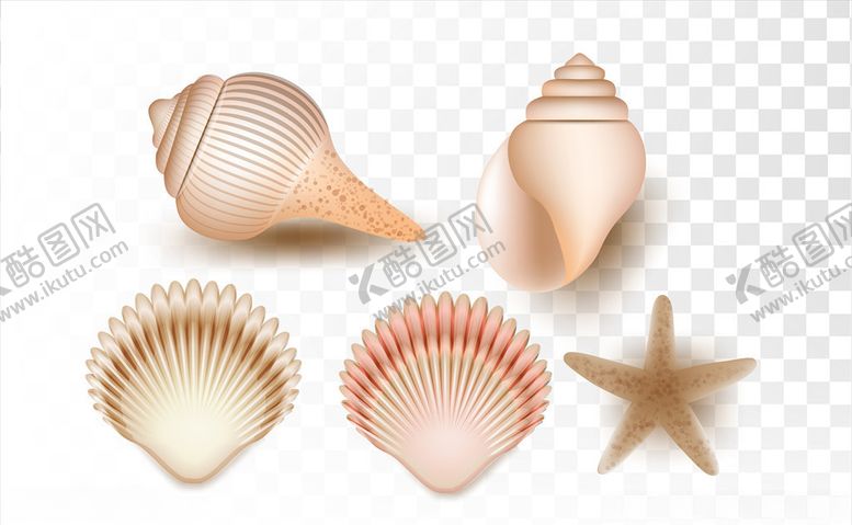 编号：89488110081432115852【酷图网】源文件下载-海螺