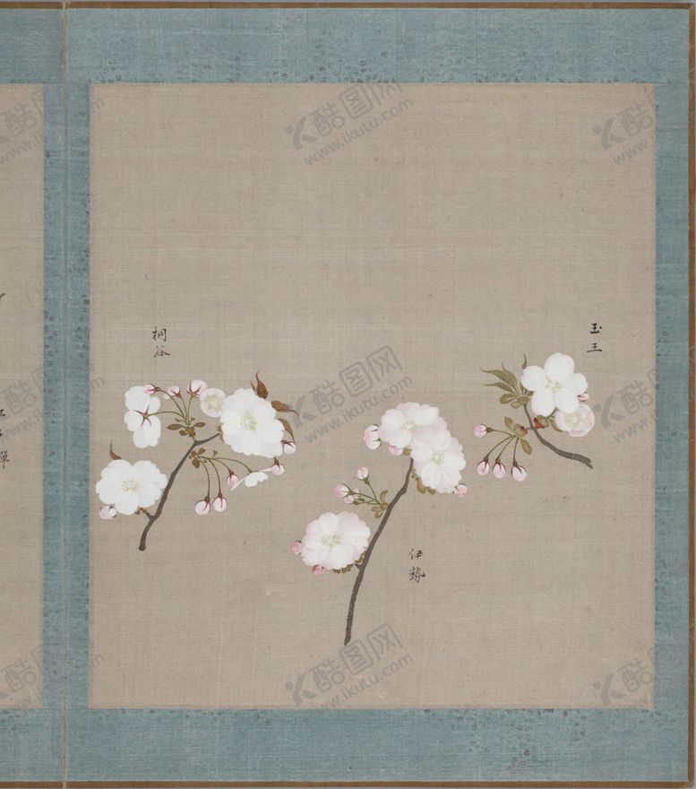 编号：77367704170122097310【酷图网】源文件下载-樱花