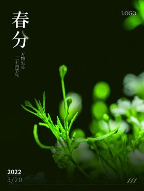 春分天24节气医美