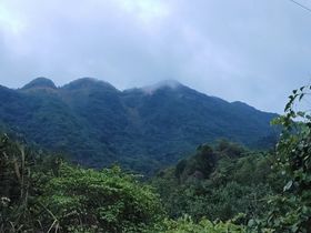 扁平化春季山间