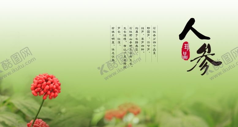 编号：38844105142032452573【酷图网】源文件下载-人参果